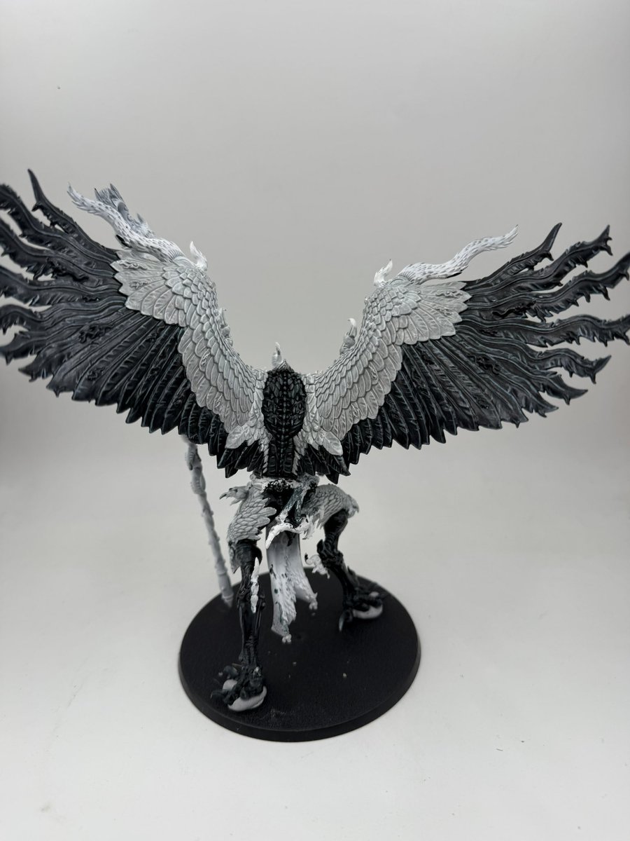 AoS Coach 🔜 ShireCon 🔜 ? 🔜 ? tweet media