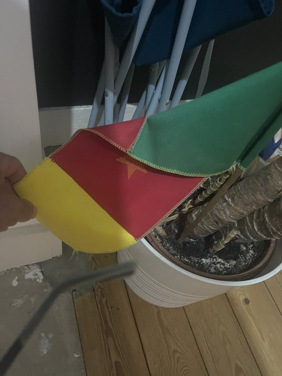 Mindenki megnyugtatására Brüsszel  a legrosszabb rémálmok városa Mondhat nekem bárki bármit ez a város egy fertő  az rosszabb mint a Church street Torontóban 
Behúztam a tutit😂😂😂😂😂😂😂😂😂na de kell engem félteni! Voltam már hidegebb is 🫣 bon soire