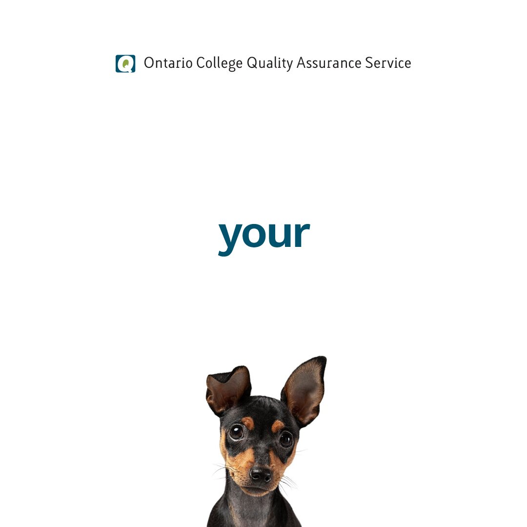 ocqas's tweet photo. Well, it looks like the puppies had a hidden agenda after all!

Sign up for our newsletter to get exclusive updates, industry insights, best practices, and much more - all tailored for quality assurance professionals. ust email us at cvs@ocqas.org to subscribe!

#OCQAS https://t.co/hoEbNggOtx