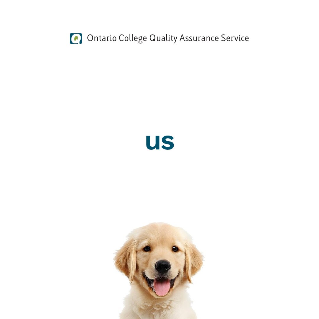 ocqas's tweet photo. Well, it looks like the puppies had a hidden agenda after all!

Sign up for our newsletter to get exclusive updates, industry insights, best practices, and much more - all tailored for quality assurance professionals. ust email us at cvs@ocqas.org to subscribe!

#OCQAS https://t.co/hoEbNggOtx