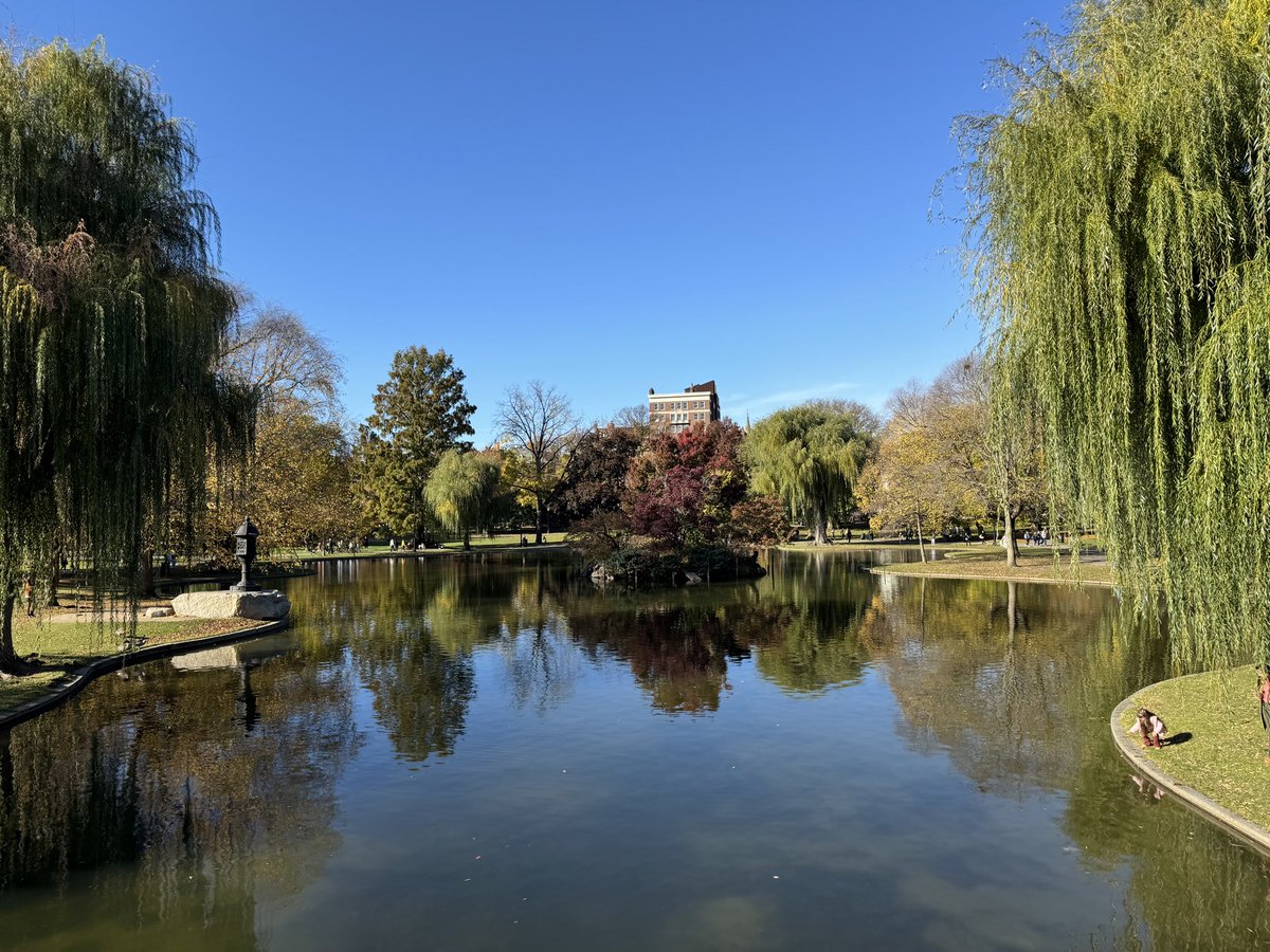 Björn Schumacher tweet media