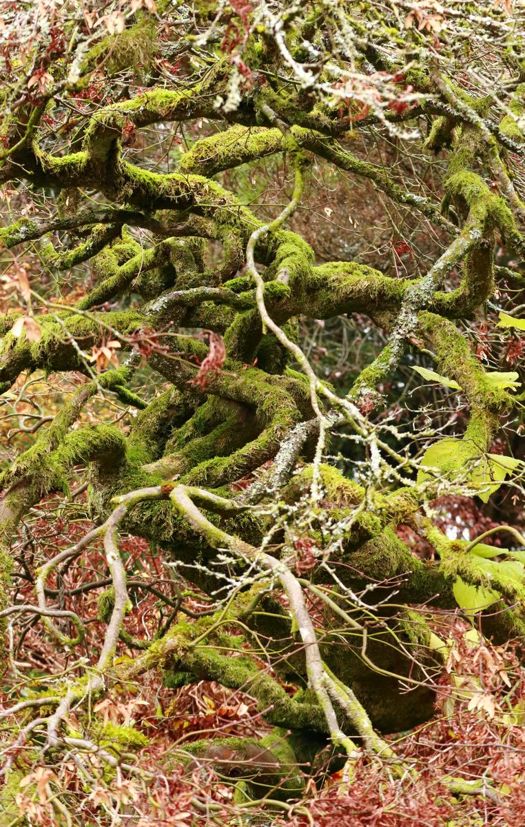 Jill Holliday tweet media