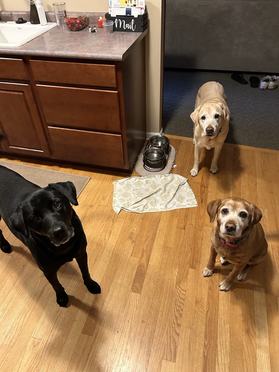 Jason Gough tweet media