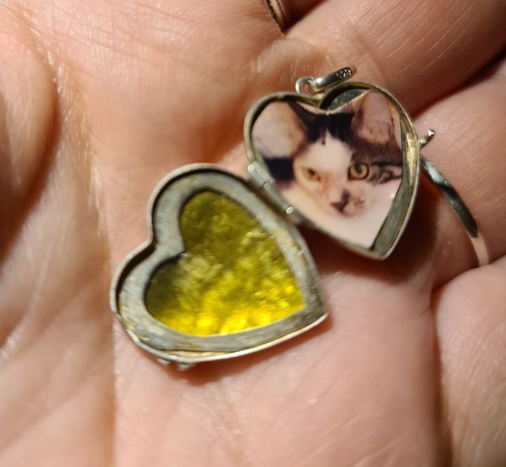I have put another photo of Bubi in a locket, and I have two of them now. 

He was with me for a huge chunk of my life and loved me fully and unconditionally. He was closest to a child I will ever have.

This is kind of pain one learns to live around.  I am still learning.