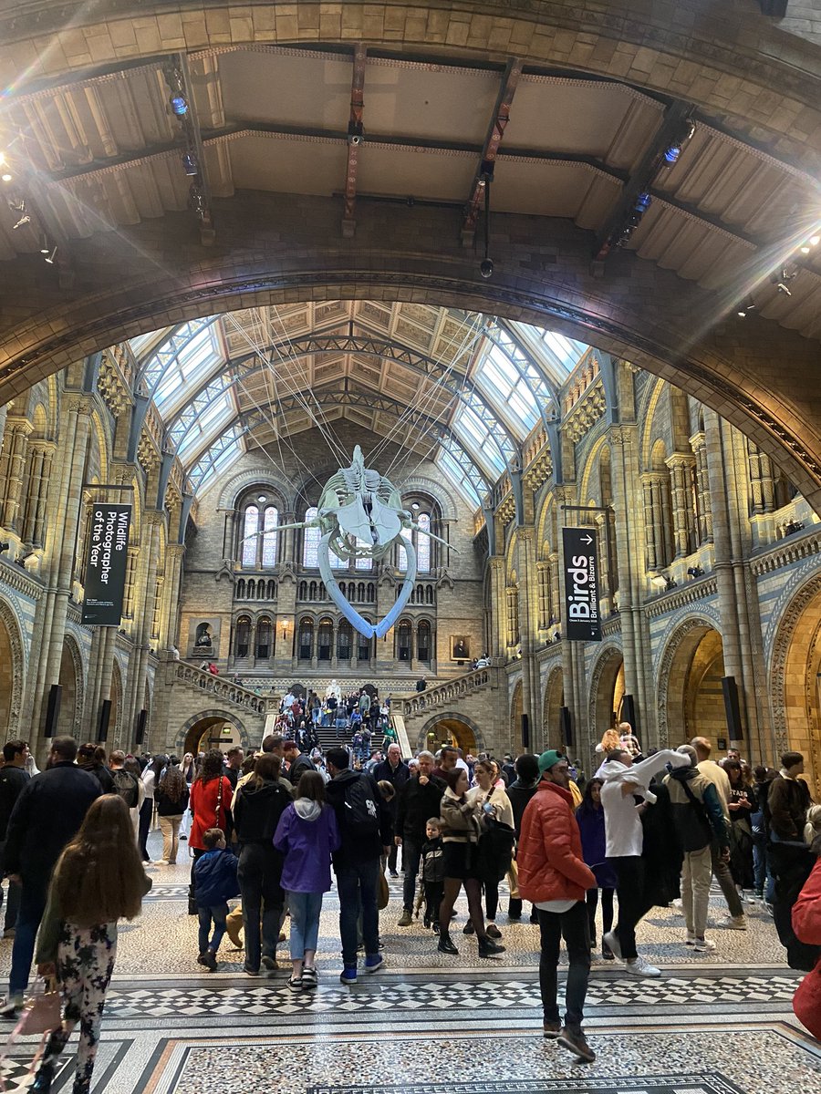 torricrapper's tweet image. Once again London you didn’t disappoint. #weekendsaway #friends #history