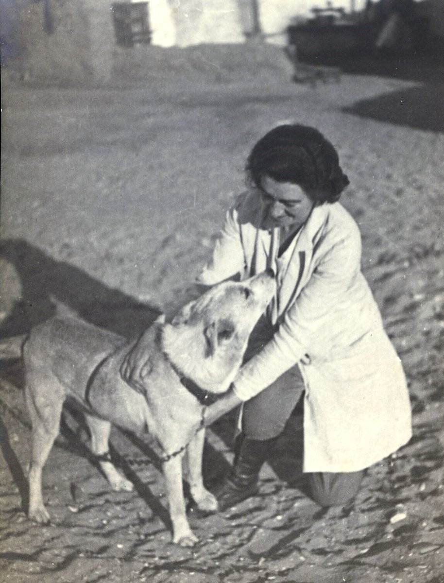 SusanSmbiddle's tweet photo. If snakes were scary in my recent post about Myrtle Broome for @GriffithOxford. my latest post about mad dogs, camel bites and the risk of rabies is even more alarming - thank goodness for Louis Pasteur! https://t.co/9Q6rx0pldJ https://t.co/fnsx7WPajs