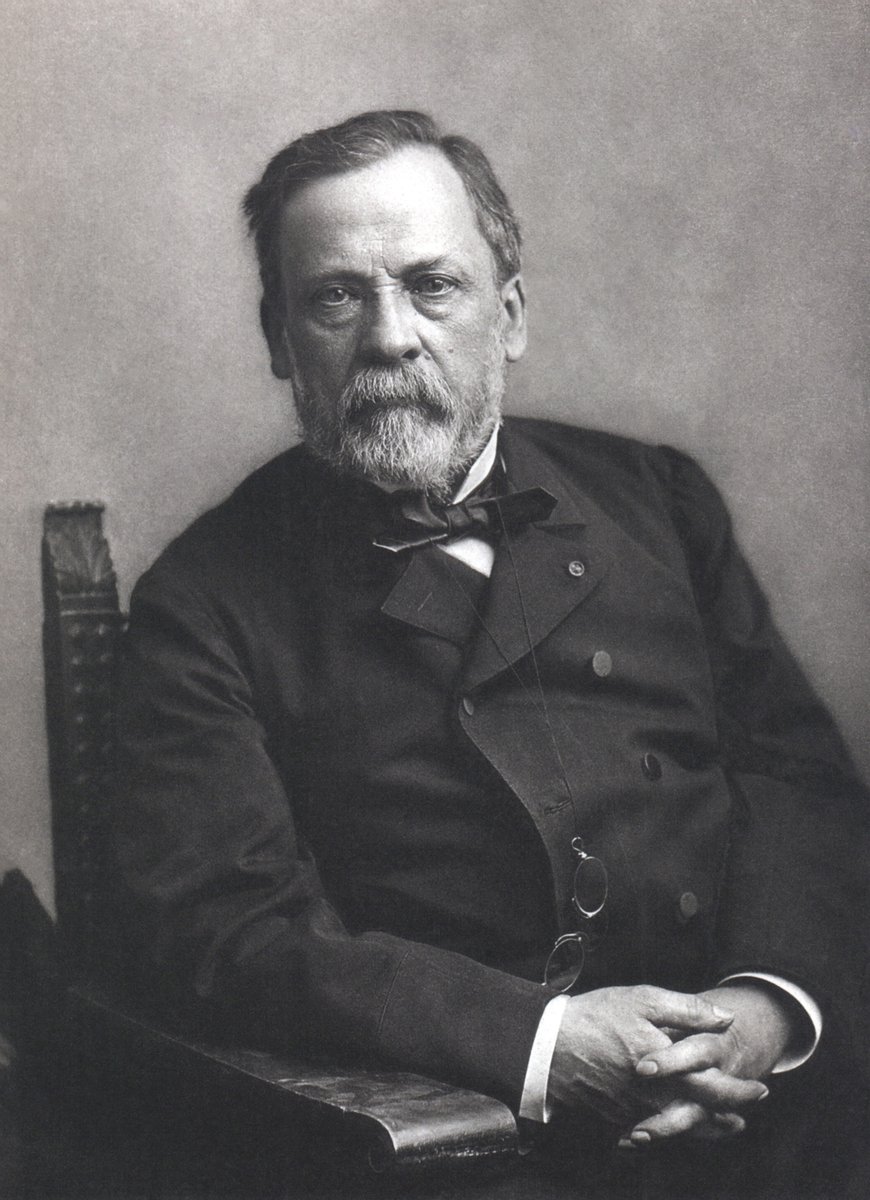 SusanSmbiddle's tweet photo. If snakes were scary in my recent post about Myrtle Broome for @GriffithOxford. my latest post about mad dogs, camel bites and the risk of rabies is even more alarming - thank goodness for Louis Pasteur! https://t.co/9Q6rx0pldJ https://t.co/fnsx7WPajs