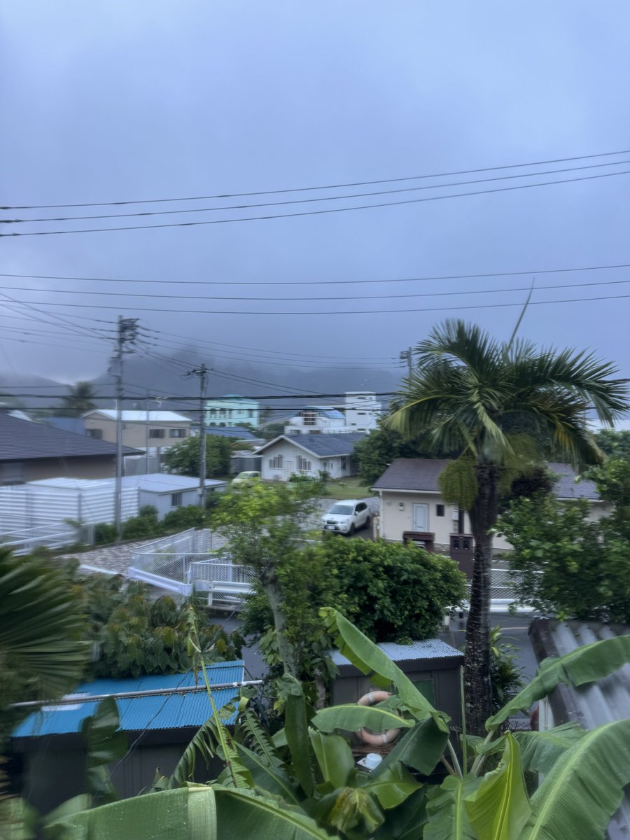 chris_rn's tweet photo. 父島最終日、海のツアーの予定ですがあいにくの雨模様でございます https://t.co/KtNMGtfZ5K