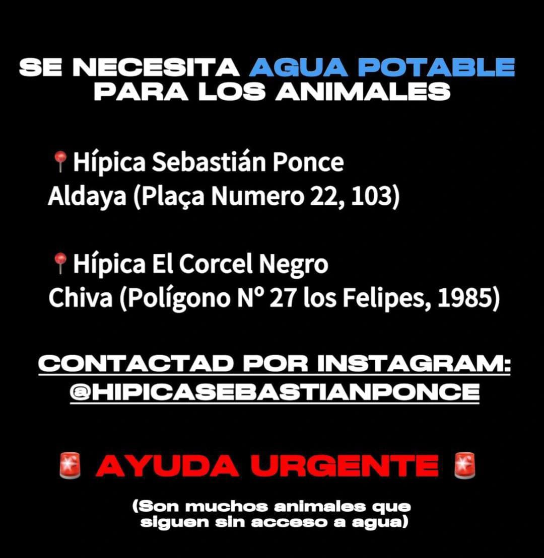 🆘🆘AYUDA URGENTE 🆘🆘
Se necesita agua potable para estas hipicas de #Aldaia y #Chiva
Son muchos animales sin acceso al agua.
Máxima difusión 🙏
📣📣📣
#Dana
#ayudaurgente #animales
#Valencia