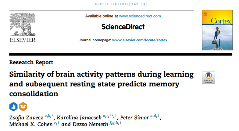 zaveczzsofi's tweet photo. Is it possible to study memory reactivation using continuous scalp EEG? We aimed to do so by quantifying similarities in functional connectivity during learning and a pre- and post-learning rest, see our research published in @Cortex: https://t.co/hzyhSz86g8 🧵 https://t.co/9zYlURuIMC