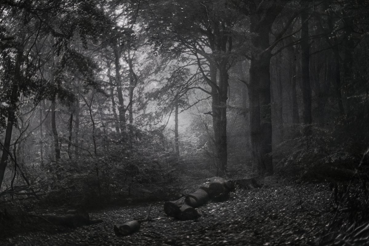 nomoth (@apevisions) on Twitter photo 