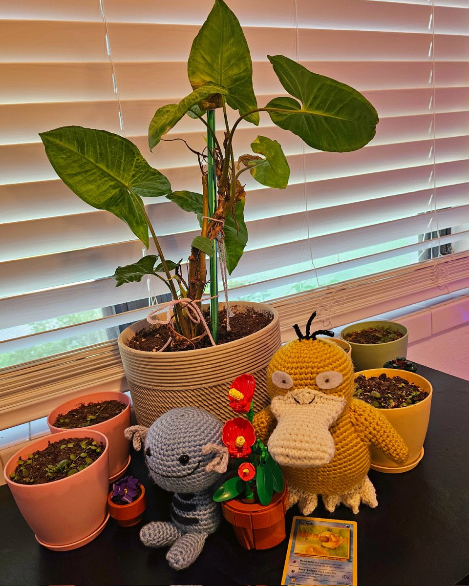 vyvy | Valor 50 tweet media