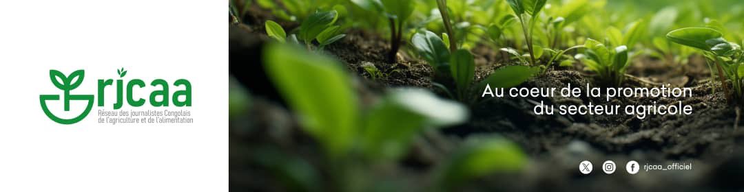 Le RJCAA, désormais des profess des médias disponibles pour assurer une bonne communication agricole. #TouspourlAgri <a href="/Com_mediasRDC/">Ministère de la Communication et Médias/RDC</a> <a href="/minagri_rdc/">Ministère de l'Agriculture et Sécurité Alimentaire</a> <a href="/Agriboost_info/">AGRIBOOST.INFO</a> <a href="/FAORDCongo/">FAO en République démocratique du Congo</a> <a href="/jeunesseEP_RDC/">Ministère de la Jeunesse et Éveil Patriotique</a> <a href="/RenaferRDC/">RENAFER RDC</a> <a href="/MdM_France/">Médecins du Monde</a> <a href="/conaf_minagri/">CONAF - Corporación Nacional Forestal</a>