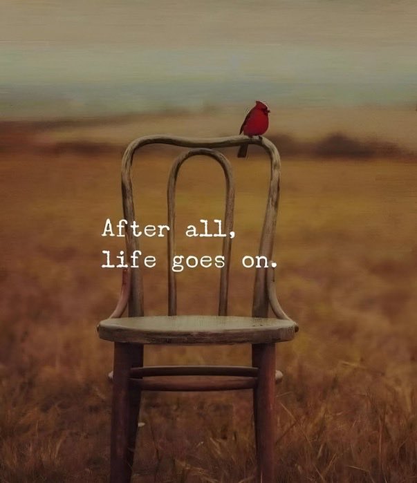 Non preoccuparti se gli altri non ti apprezzano. Preoccupati se tu non apprezzi te stesso.
(Confucio)