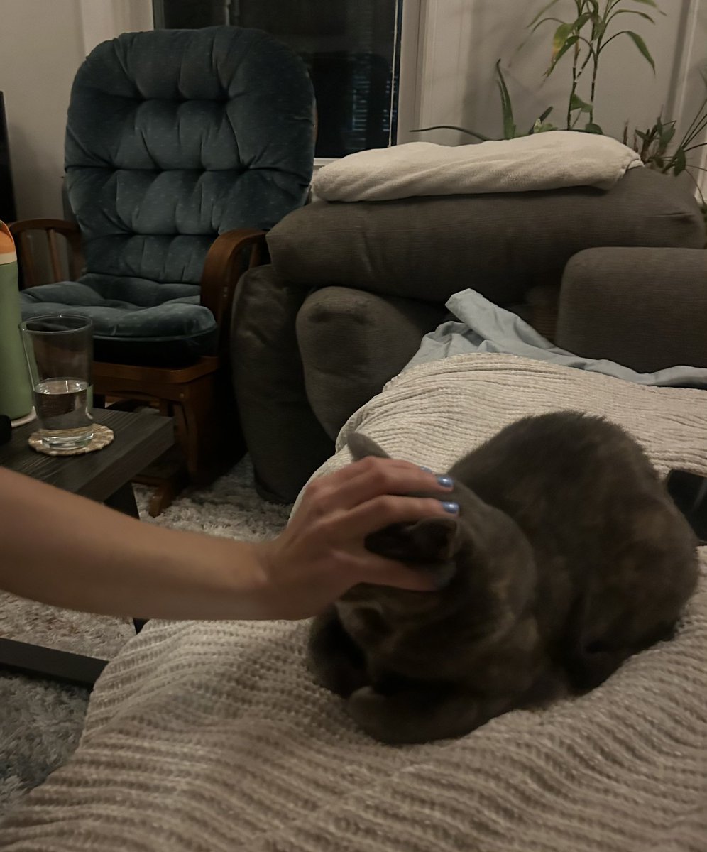 crispt1na's tweet photo. giving Harriet The Iron Claw when she’s being a pest https://t.co/Z5hYtjoYLO