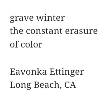 Delighted to appear in The Solitary Daisy with such appreciation to Michelle Rule and Sally Quon for their lovely prompts and interactions.

Prompt: Use constant/winter/grave in a haiku