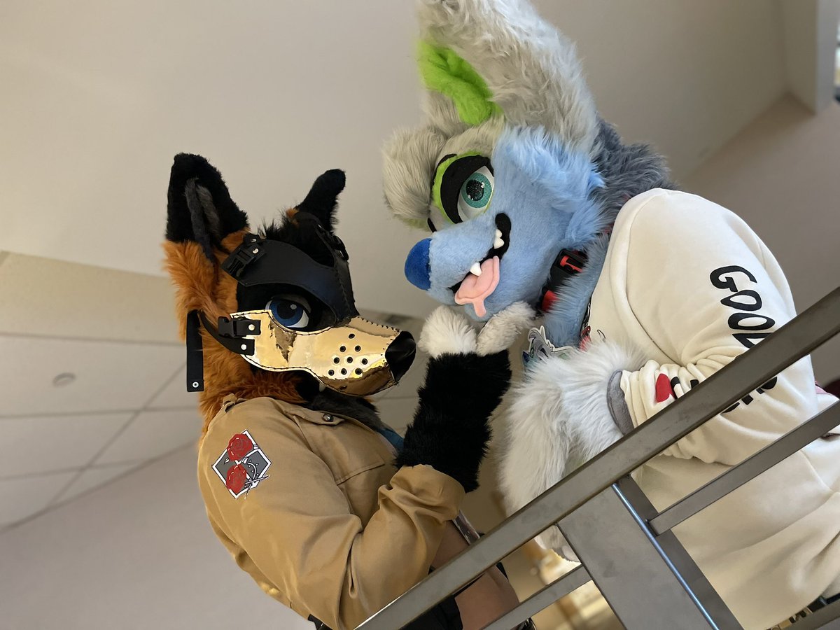 DeckerCrossFox's tweet image. Good puppy @Remixwuffy 
📸: @VulpeculaFoxx