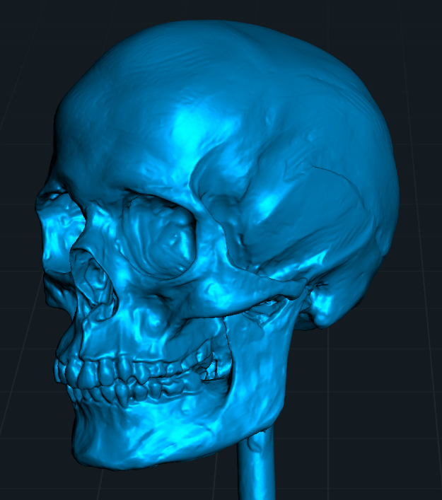 hellbendermodel's tweet image. A 3D scan of a clay sculpture I made, for which I referenced a 3D scan of a real skull. Because we're all about efficient workflows in this house.
