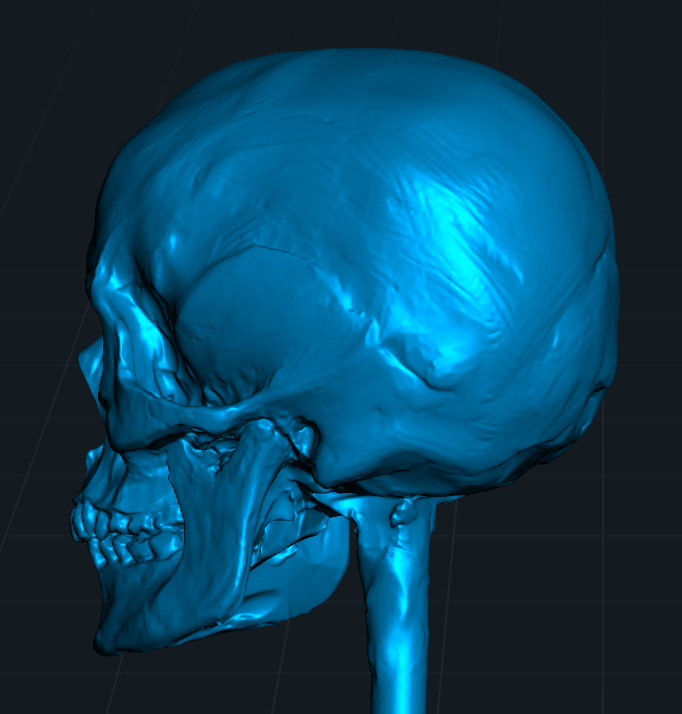 hellbendermodel's tweet image. A 3D scan of a clay sculpture I made, for which I referenced a 3D scan of a real skull. Because we're all about efficient workflows in this house.