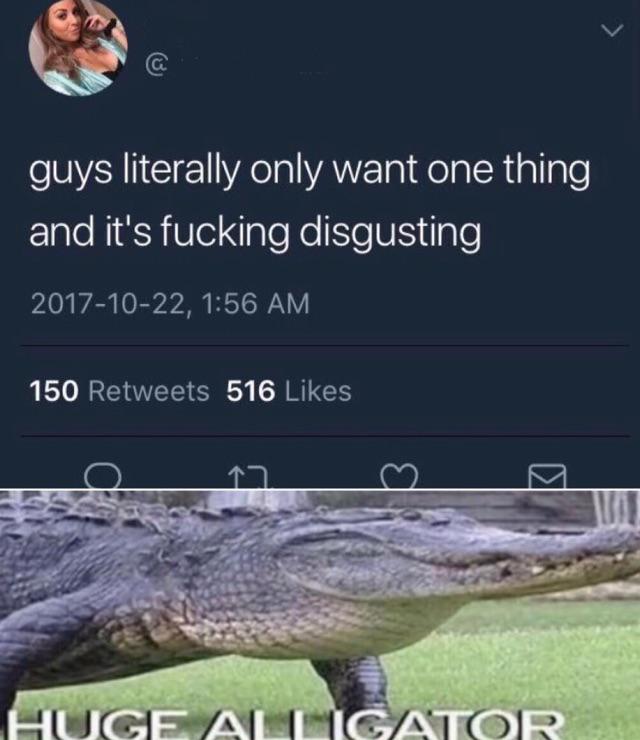 Gators Daily 🐊 (@gatorsdaily) on Twitter photo 