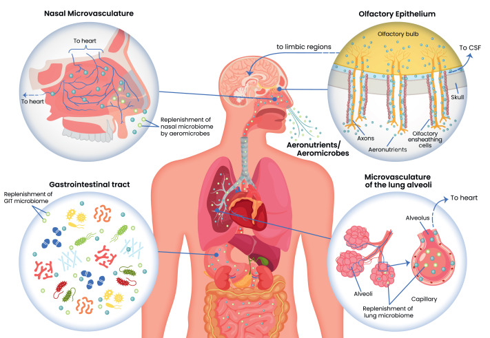 Jake Robinson tweet media