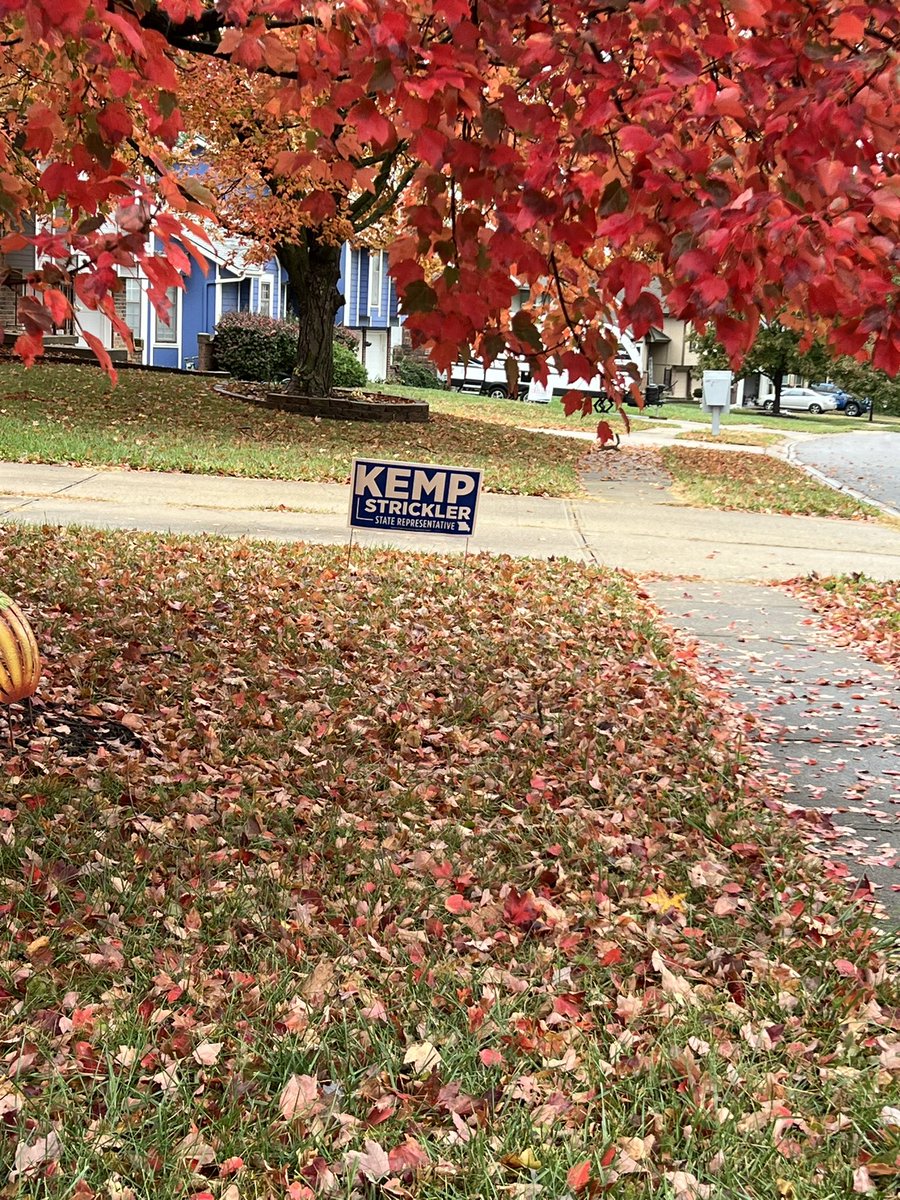 Patty4MO's tweet image. . #Pamily out on the doors for @kstric &amp;amp; #GOTV! Please be sure to make your plan to #Vote:
✅Review your sample ballot 
✅Bring your nonexpired ID to the polls
When we vote, we WIN! #VoteBlue #MOSen #MOLeg #MOGov #Patty4MO #TeamPatty