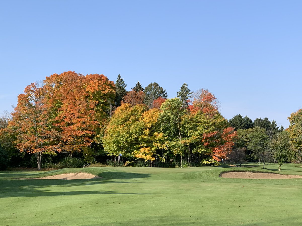 Scott Wiese tweet media