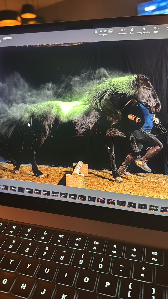 Sabrientje2's tweet photo. Vandaag de kans gekregen om de Holipowdershoot te doen! Ik heb de benen uit mijn lijf gerend. Maar de meeste paarden staan er goed op. Binnenkort de resultaten!
#fotoshoot #holipowder #paardenfotografie https://t.co/hyRAoxPunE