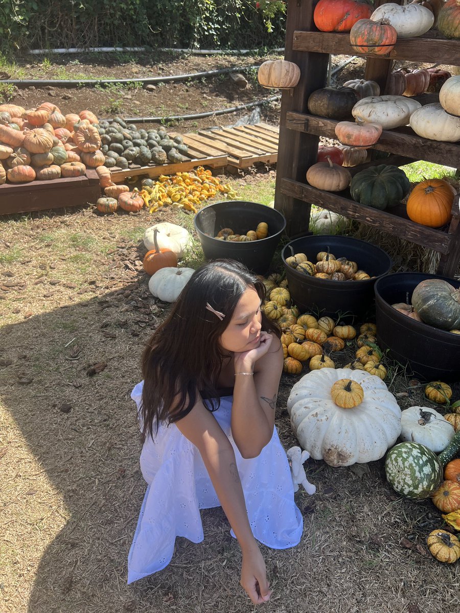kimpuccino's tweet photo. pumpkin patch 🎃🧡 https://t.co/30DF1yx6VH