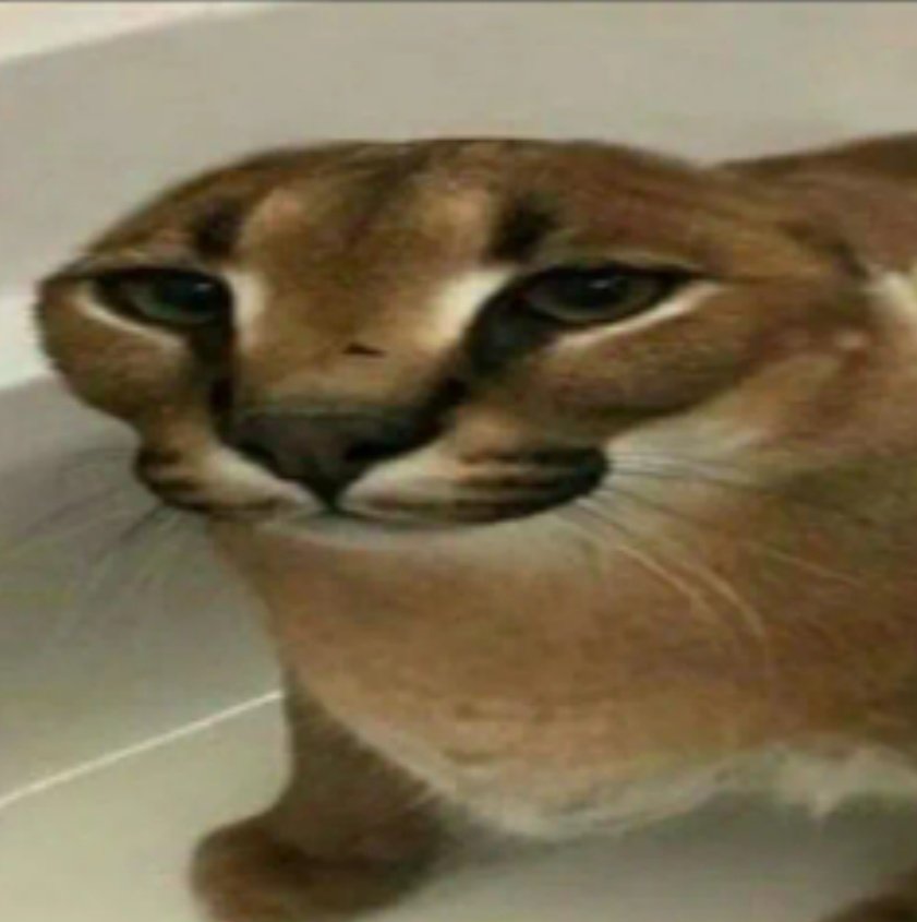 studywsasa_'s tweet image. tô triste que o tema não era difícil mas minha redação ficou mt esquisita não sei, mas vou torcer pela empatia e coração bom do corretor