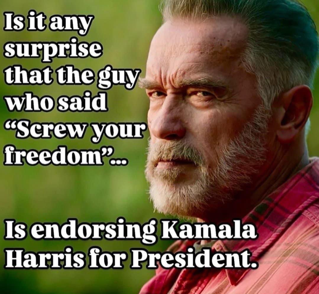 Rothmus 🏴 tweet media