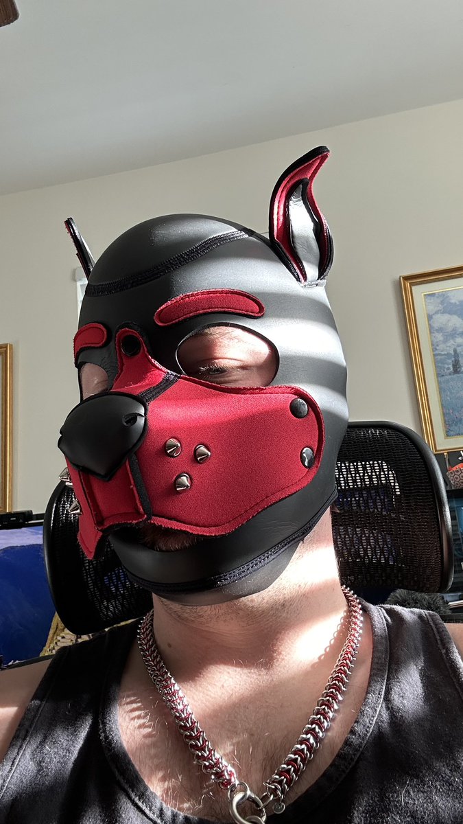 red.slut.dog 🚚 Seattle tweet media
