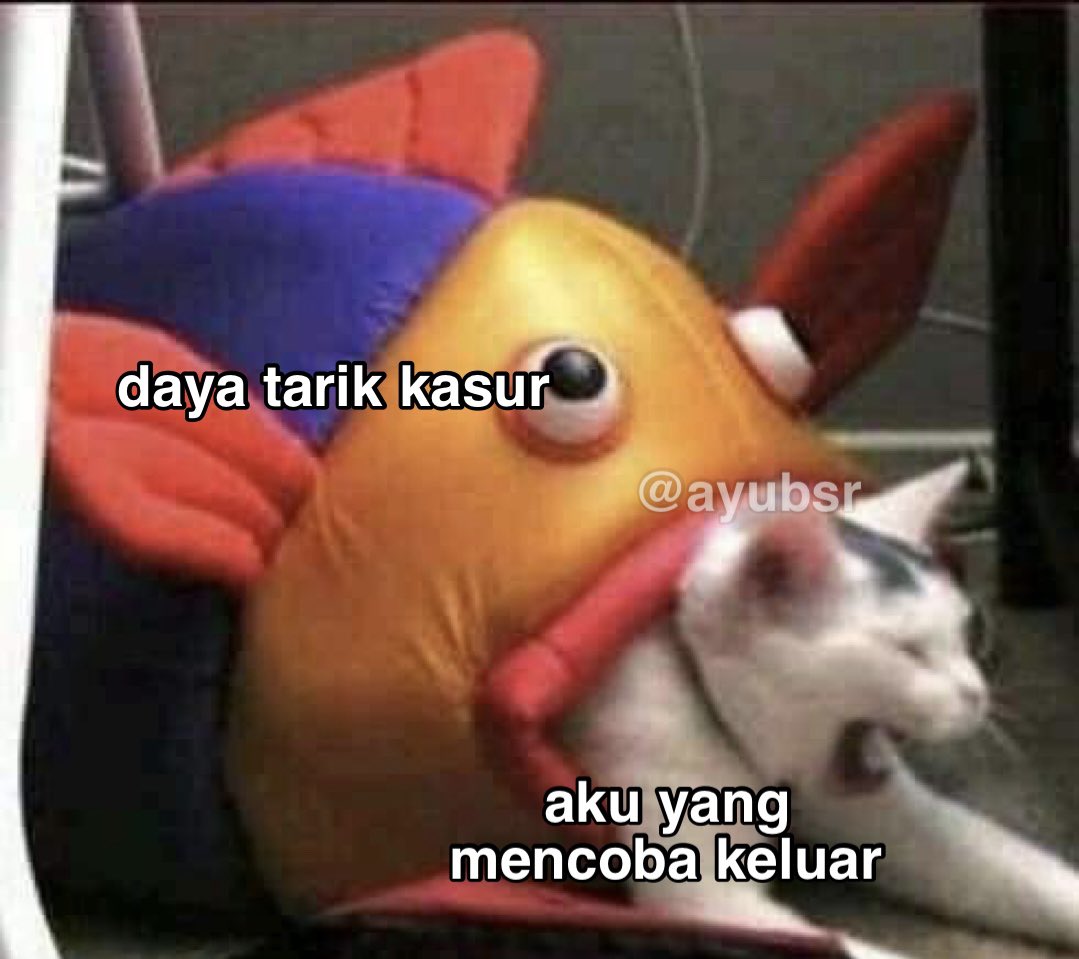 ayubsr's tweet image. 