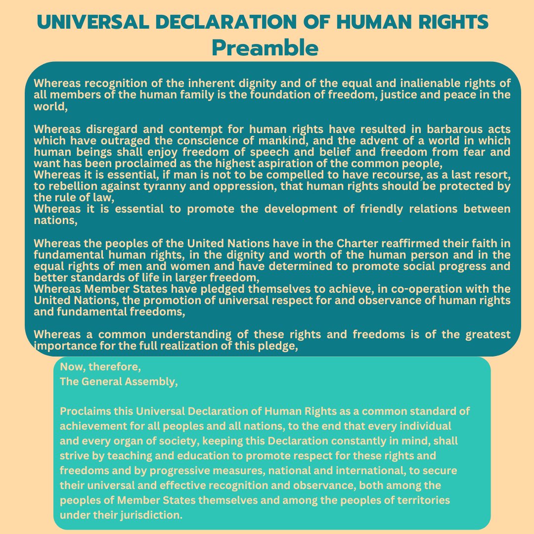 BellGlobal1's tweet photo. #30DaysOfUDHR

Did you know?

The Universal Declaration of Human Rights is a set of fundamental human rights to be enjoyed by all human beings on earth?

#UniversalDeclarationOfHumanRights #UDHR #Preamble #Article1 #HumanRightsDay #InternationalLaw #HumanRights #TeamBellGlobal https://t.co/EIEi9JnJ74