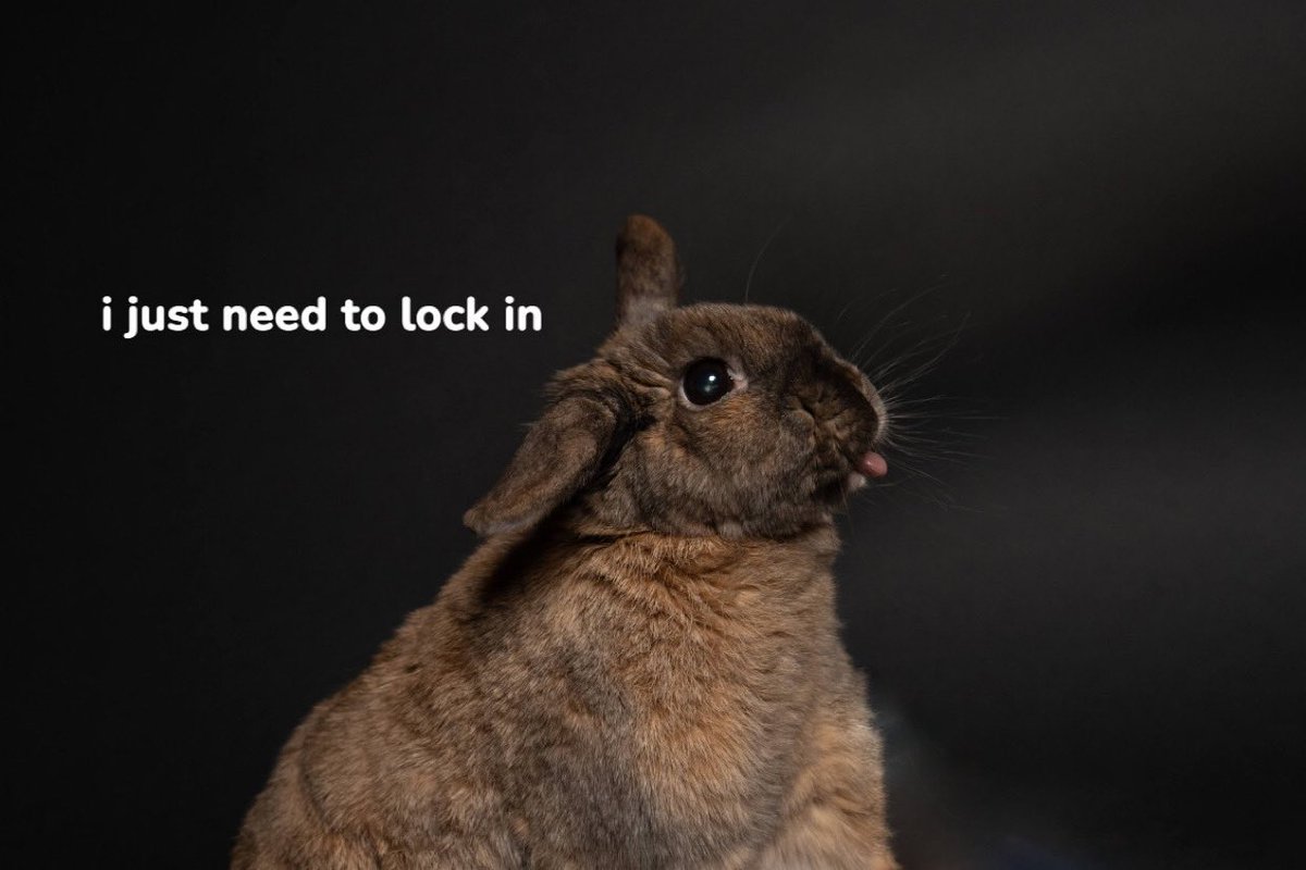 Bunnies's tweet photo. https://t.co/yISwoqZgKz