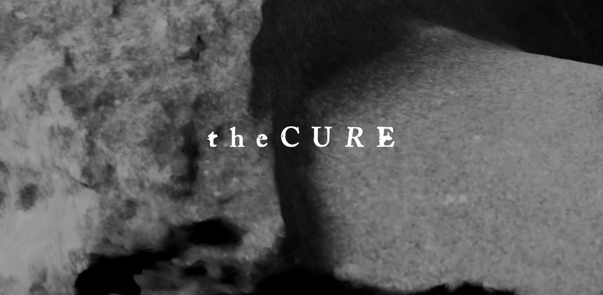 Clint Catalyst tweet media