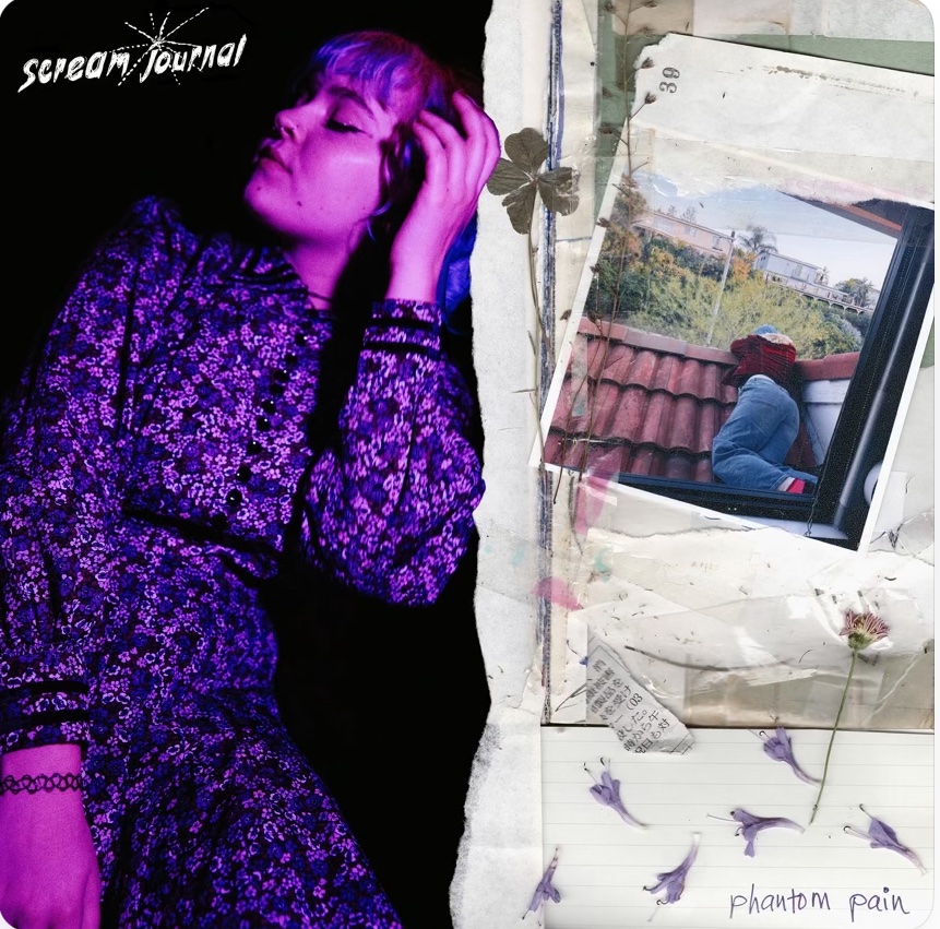 If you like alternative indie-folk in the vein of beabadoobee, Phoebe Bridgers, Alvvays, Soccer Mommy, check out the amazing new EP "Phantom Pain" by SCREAM JOURNAL