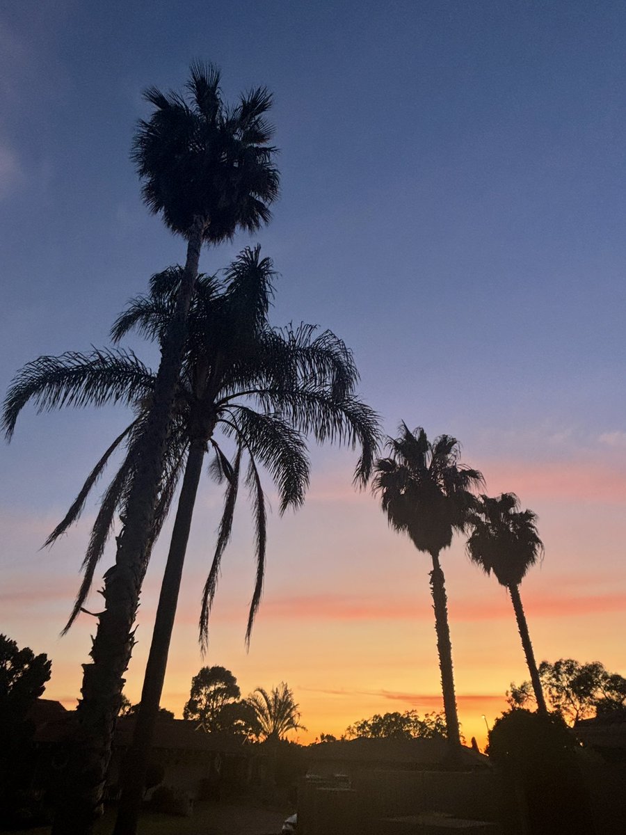 Good Monday morning to you all… Have an AWESOME day! 🩷