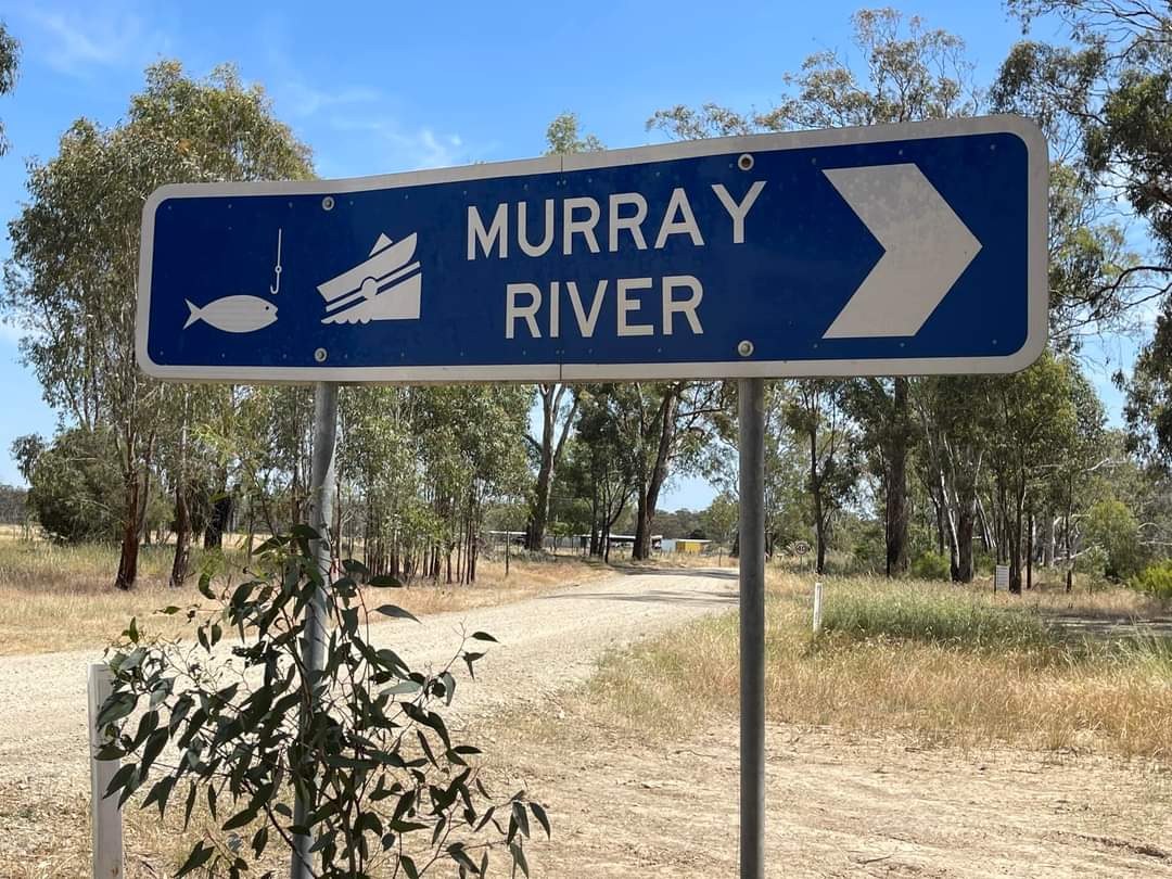 Muz De Sac tweet media