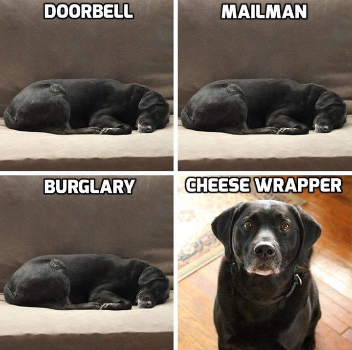 Dalbodog's tweet photo. So true 🤣 https://t.co/yH116koGaG