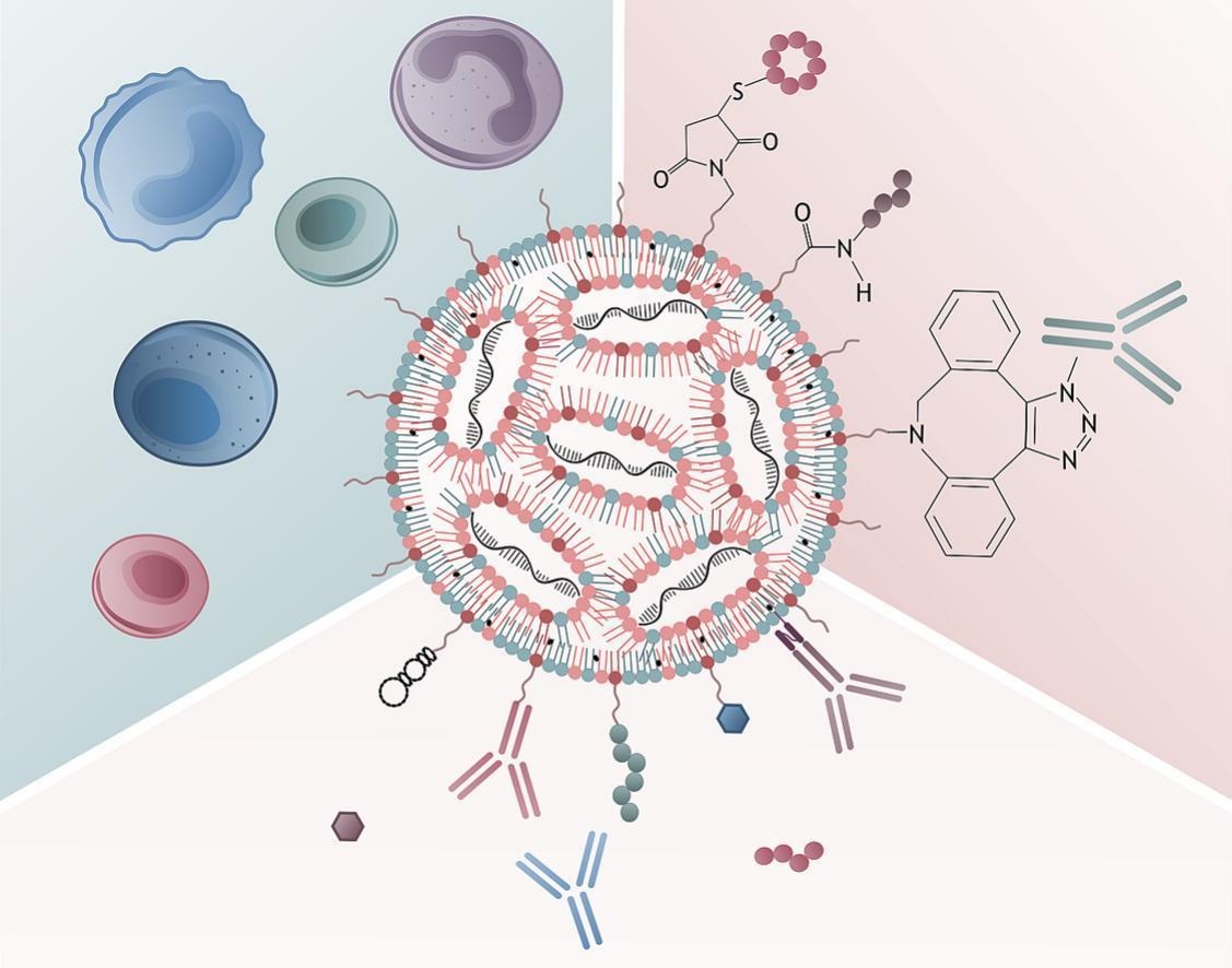 The future of genetic medicines delivered via targeted lipid nanoparticles to leukocytes.
| Dan Peer <a href="/TelAvivUni/">Tel Aviv University</a> | <a href="/peer_lab/">Dan Peer</a>
[50 days' free access]
#TargetedDelivery #leukocyte #LipidNanoparticle
kwnsfk27.r.eu-west-1.awstrack.me/L0/https:%2F%2…