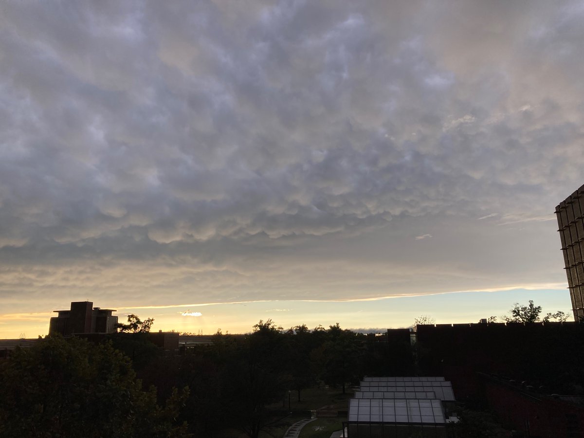 srfoskey_wx's tweet photo. Mammatus visible in Norman https://t.co/QwcKQbtpYb