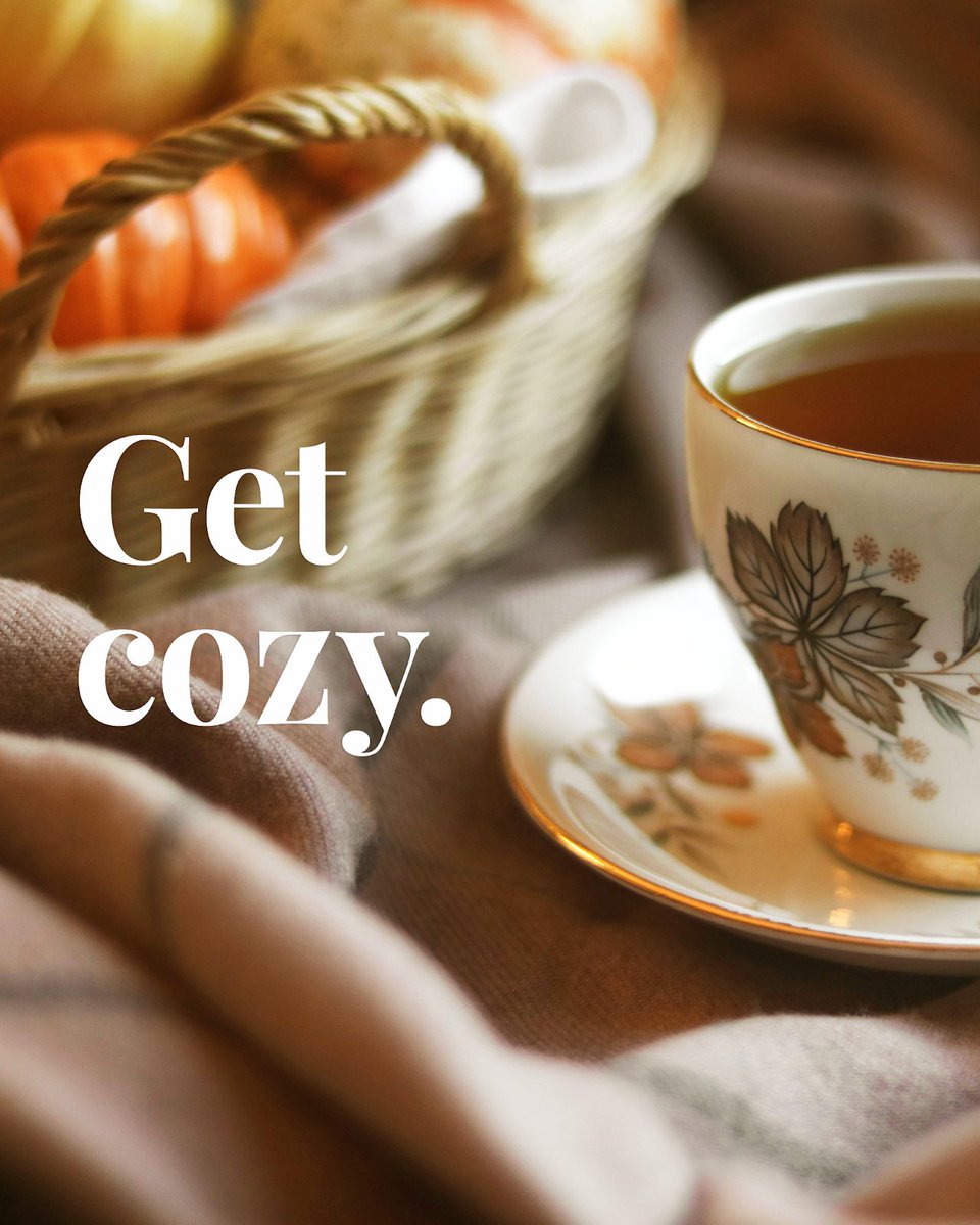 The Republic of Tea tweet media