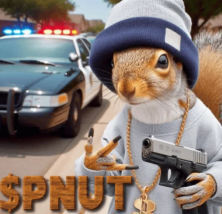 $PNUT gang gang don't sell for peanuts
