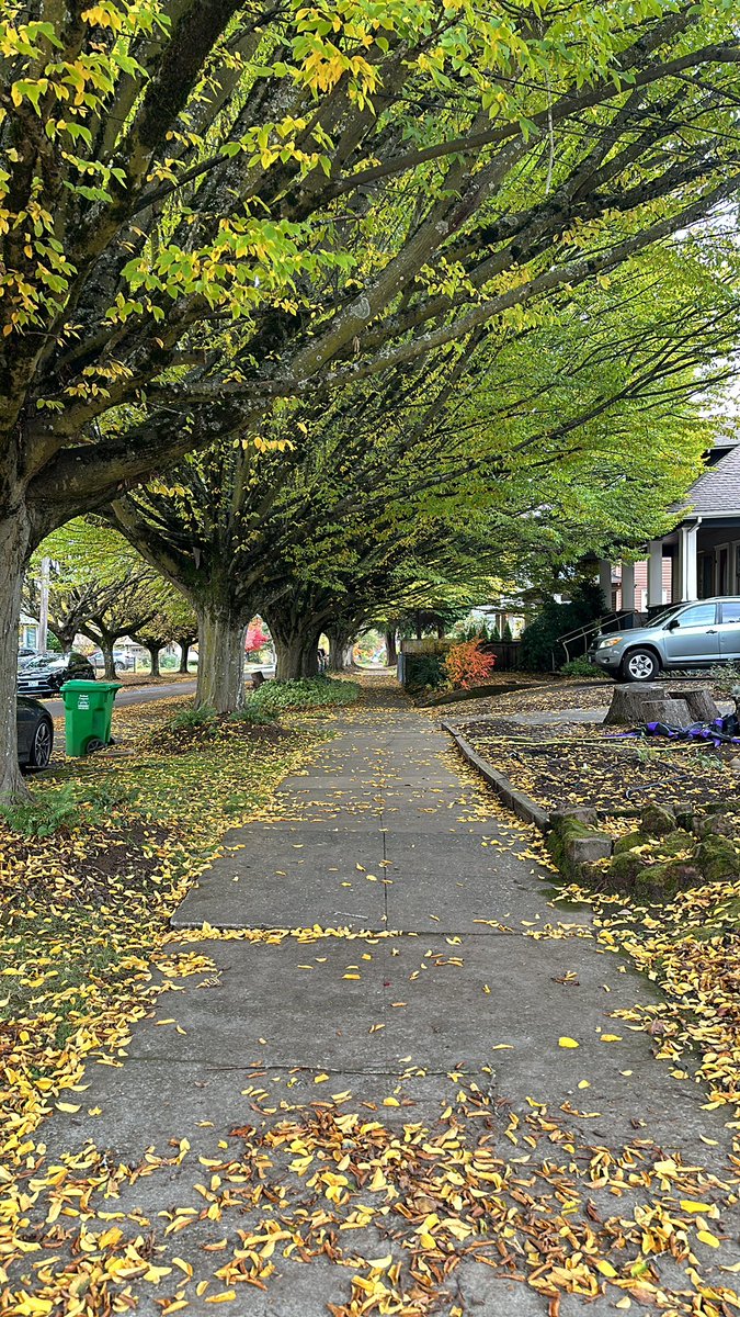 Mingus Mapps tweet media