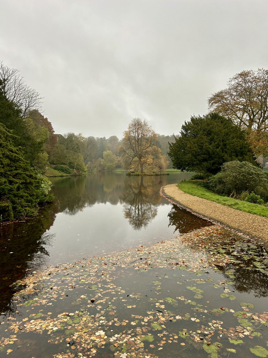 ClementsMike's tweet photo. A day of two halves really. Stourhead and Reef https://t.co/X0LovAE530