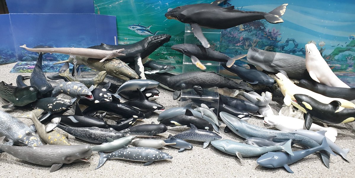 Darren Naish tweet media