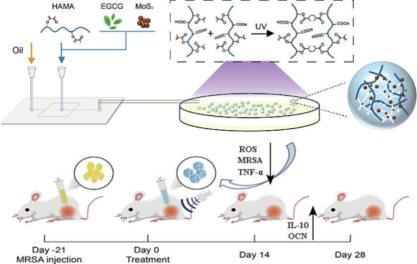 JCRnEDITORS's tweet photo. Injectable hydrogel microsphere-bomb for MRSA-infected chronic osteomyelitis.
| Ping Wang @smu_medical |
[50 days' free access]
#hydrogel #microsphere #osteomyelitis
https://t.co/1VCmzacgaN https://t.co/IMpS69cW0h