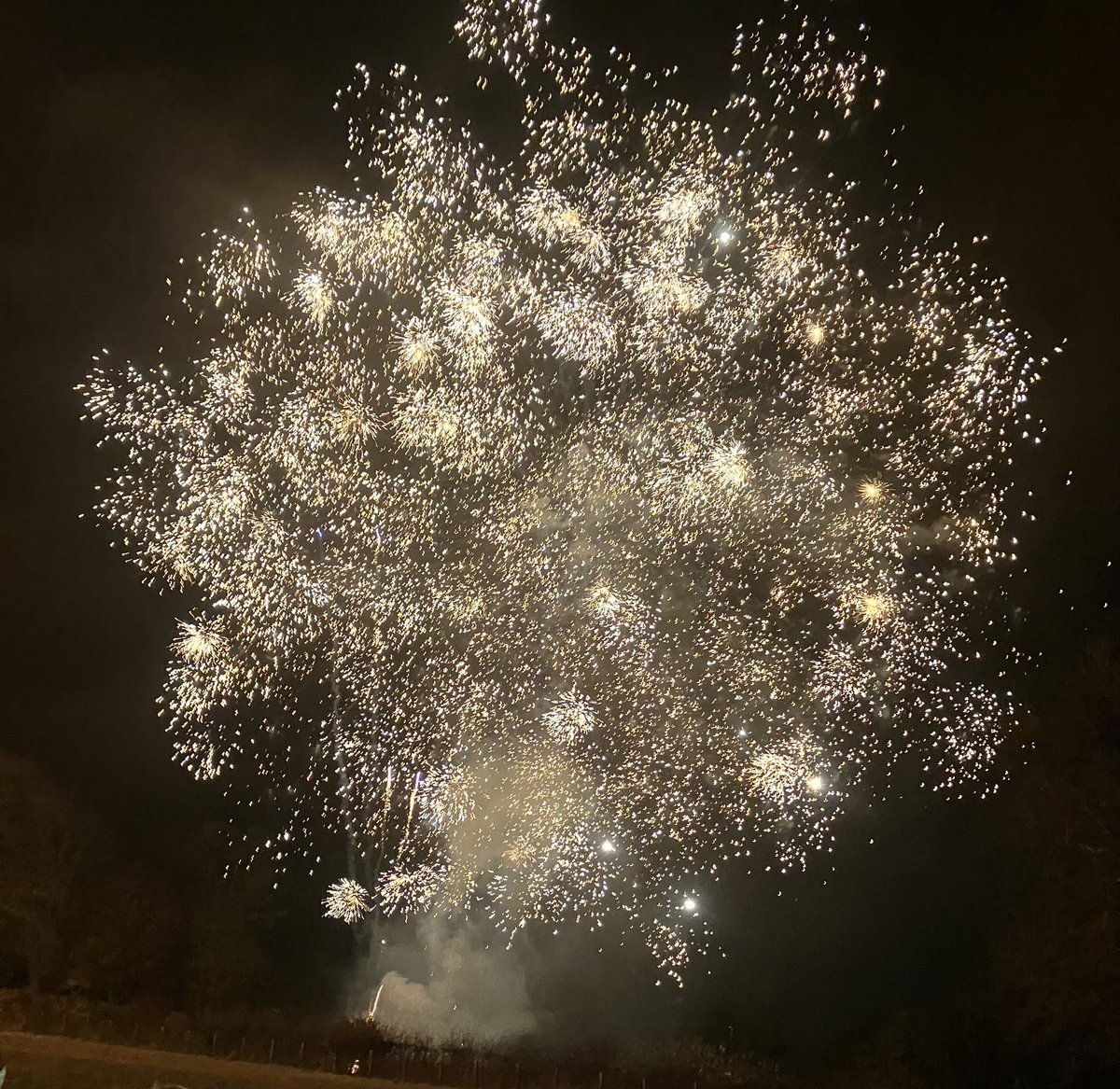 Scotty Mo tweet media