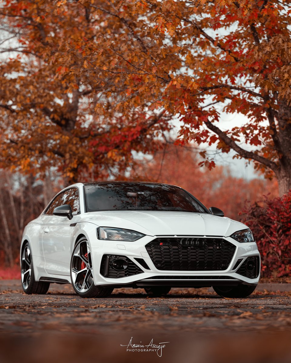 Armin H. Ausejo tweet media